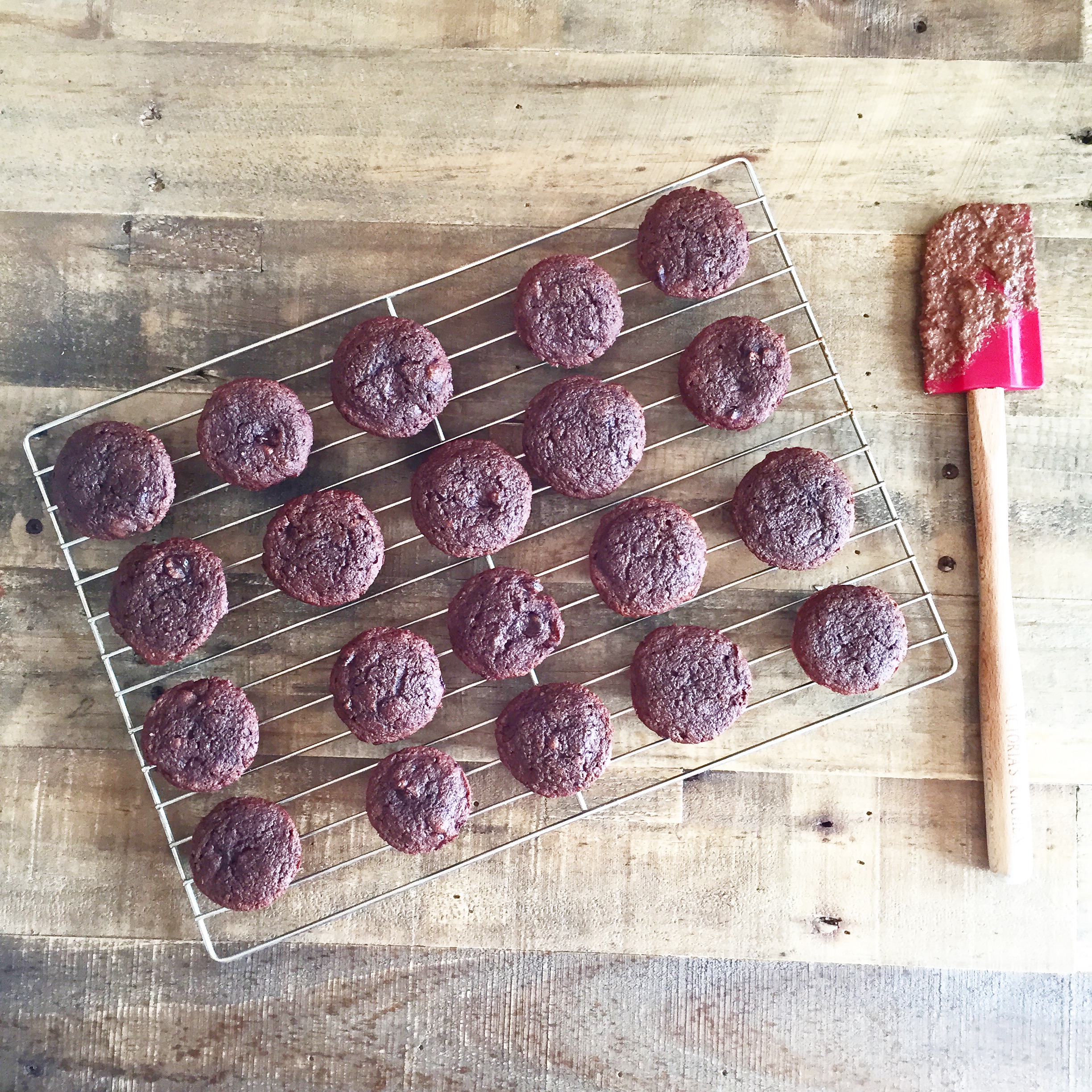 Easy Vegan Chocolate Mini Muffins!